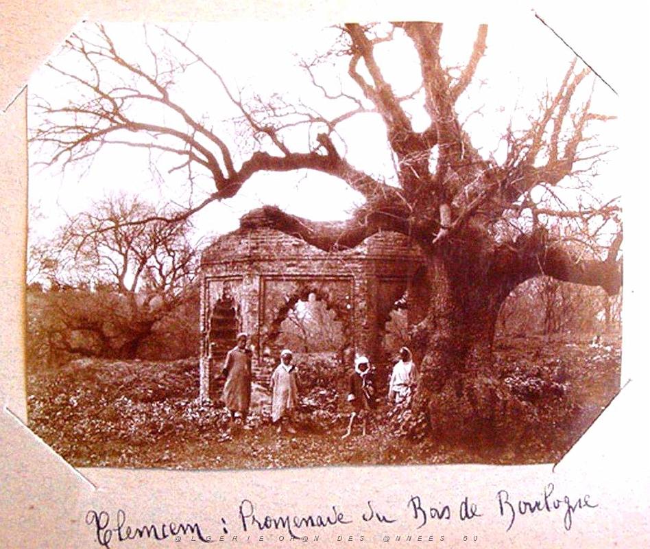 ALGERIE LES ANNEES 1900 (17).jpg